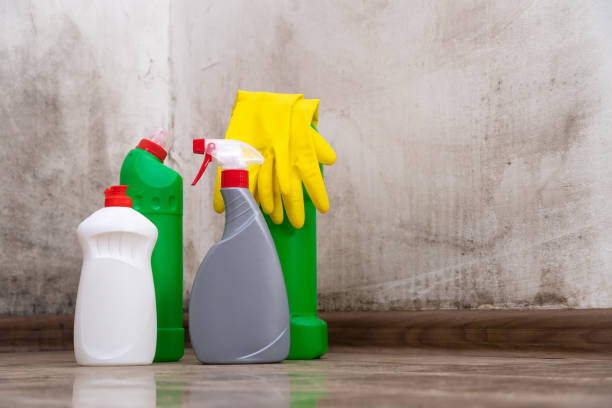 Mold Remediation for Rental Properties in Agoura Hills, CA